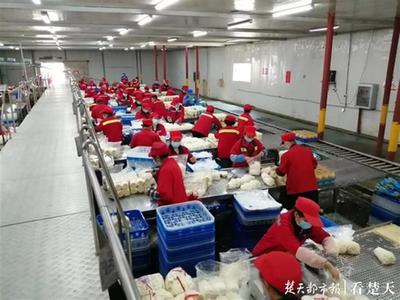 菌菇日产将达130吨,武汉各类农产品产能强势复苏