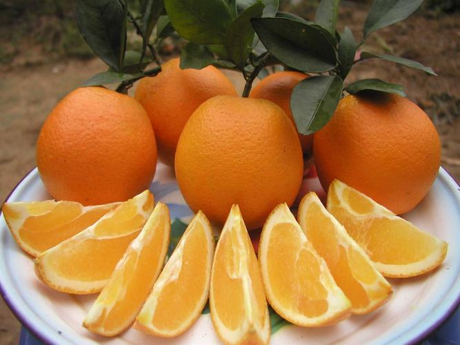 武汉市宏润民农产品水果配送橙子